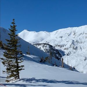 Meet your Posher, Trevor